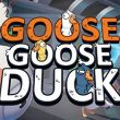 Goose Goose Duck
