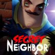 Secret Neighbor