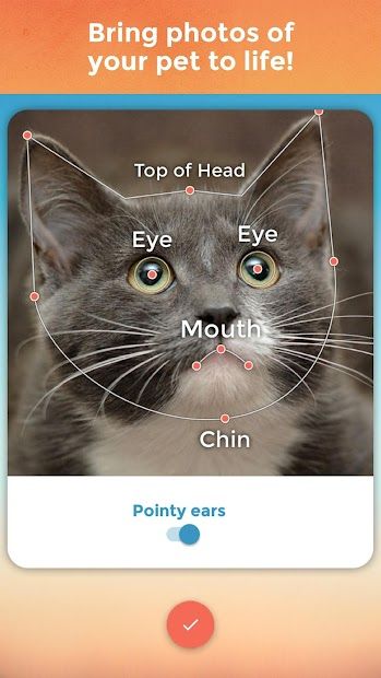 My Talking Pet screenshot 1