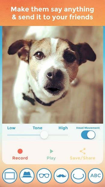 My Talking Pet screenshot 3
