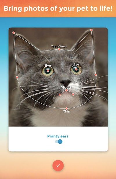 My Talking Pet screenshot 5