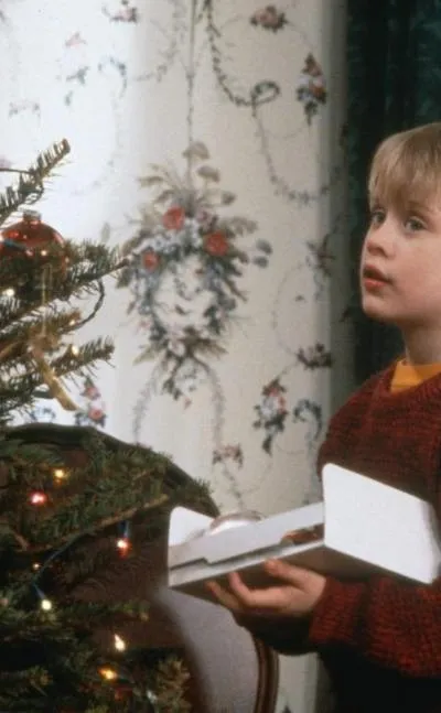 Home Alone screenshot 2