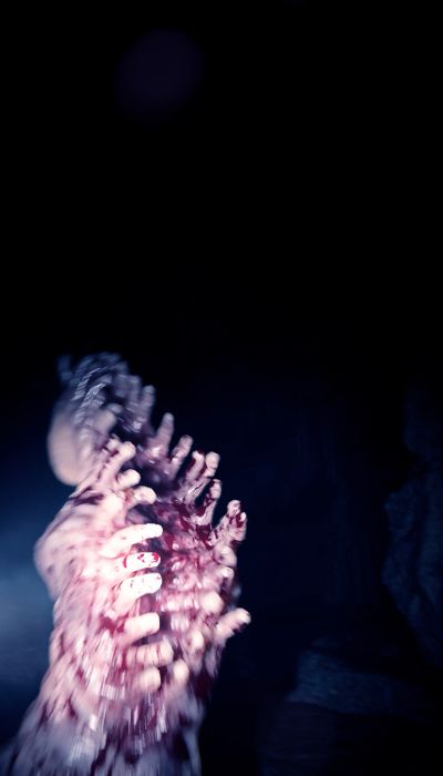 Sons Of The Forest screenshot 7