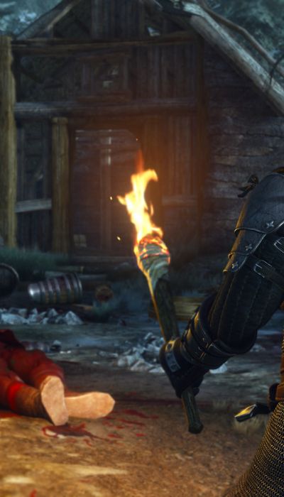 The Witcher 3: Wild Hunt screenshot 6